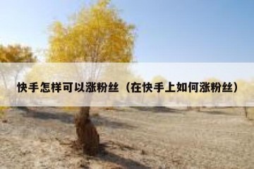 快手怎样可以涨粉丝（在快手上如何涨粉丝）