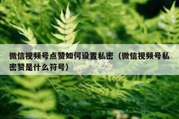 微信视频号点赞如何设置私密（微信视频号私密赞是什么符号）