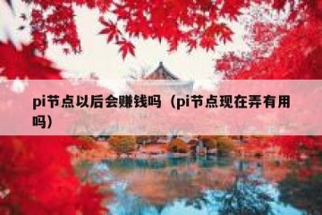 pi节点以后会赚钱吗（pi节点现在弄有用吗）