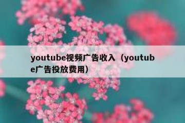 youtube视频广告收入（youtube广告投放费用）