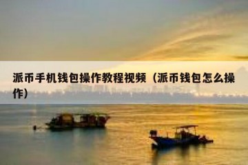 派币手机钱包操作教程视频（派币钱包怎么操作）
