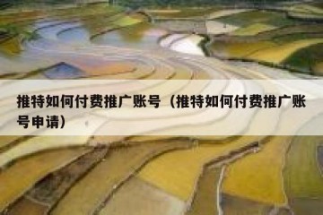 推特如何付费推广账号（推特如何付费推广账号申请）