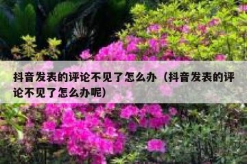 抖音发表的评论不见了怎么办（抖音发表的评论不见了怎么办呢）