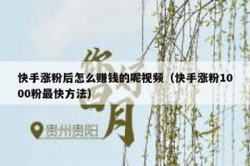 快手涨粉后怎么赚钱的呢视频（快手涨粉1000粉最快方法）