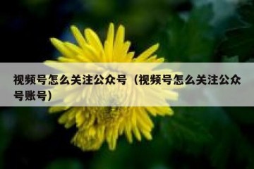 视频号怎么关注公众号（视频号怎么关注公众号账号）