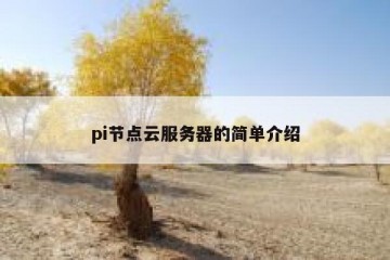 pi节点云服务器的简单介绍