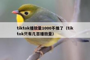 tiktok播放量1000不推了（tiktok只有几百播放量）