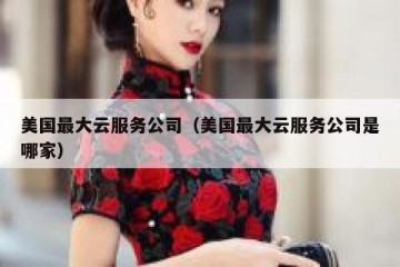 美国最大云服务公司（美国最大云服务公司是哪家）
