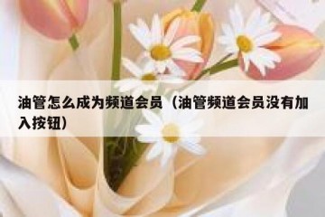 油管怎么成为频道会员（油管频道会员没有加入按钮）