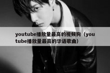 youtube播放量最高的视频狗（youtube播放量最高的华语歌曲）