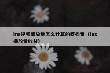 ins视频播放量怎么计算的呀抖音（ins播放量收益）