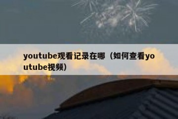 youtube观看记录在哪（如何查看youtube视频）