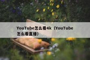 YouTube怎么看4k（YouTube怎么看直播）