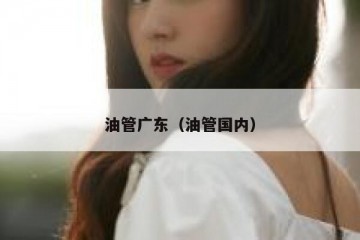 油管广东（油管国内）