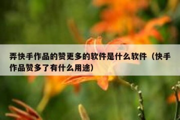 弄快手作品的赞更多的软件是什么软件(快手作品赞多了有什么用途)