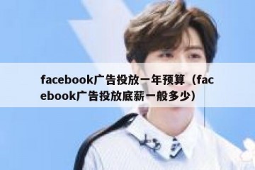 facebook广告投放一年预算（facebook广告投放底薪一般多少）
