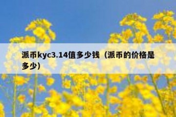 派币kyc3.14值多少钱（派币的价格是多少）