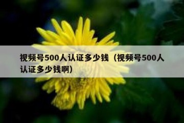 视频号500人认证多少钱（视频号500人认证多少钱啊）