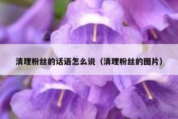 清理粉丝的话语怎么说（清理粉丝的图片）