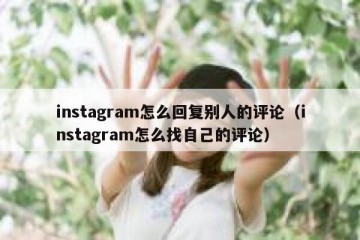 instagram怎么回复别人的评论（instagram怎么找自己的评论）