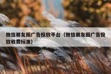 微信朋友圈广告投放平台（微信朋友圈广告投放收费标准）