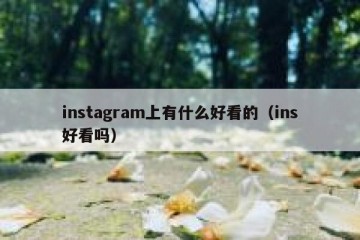 instagram上有什么好看的（ins好看吗）