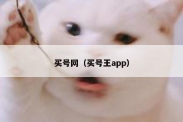 买号网（买号王app）