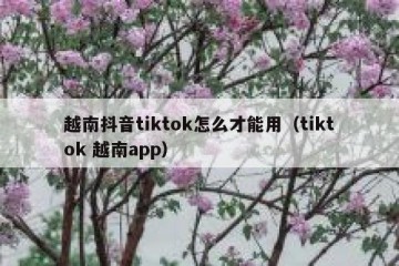 越南抖音tiktok怎么才能用（tiktok 越南app）