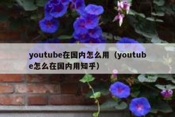 youtube在国内怎么用（youtube怎么在国内用知乎）