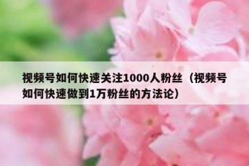 视频号如何快速关注1000人粉丝（视频号如何快速做到1万粉丝的方法论）