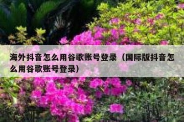 海外抖音怎么用谷歌账号登录（国际版抖音怎么用谷歌账号登录）