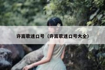 许嵩歌迷口号（许嵩歌迷口号大全）