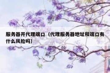 服务器开代理端口（代理服务器地址和端口有什么风险吗）