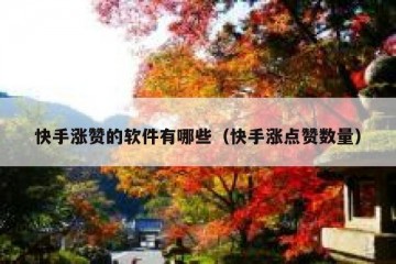快手涨赞的软件有哪些（快手涨点赞数量）