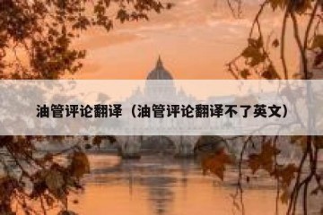 油管评论翻译（油管评论翻译不了英文）
