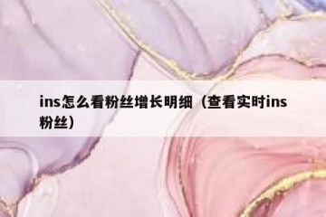 ins怎么看粉丝增长明细（查看实时ins粉丝）