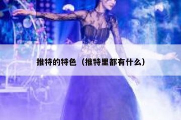 推特的特色（推特里都有什么）