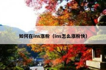 如何在ins涨粉（ins怎么涨粉快）