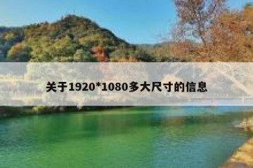 关于1920*1080多大尺寸的信息
