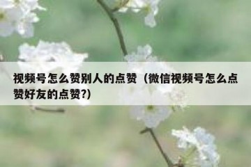 视频号怎么赞别人的点赞（微信视频号怎么点赞好友的点赞?）