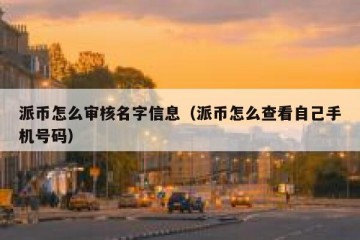 派币怎么审核名字信息（派币怎么查看自己手机号码）