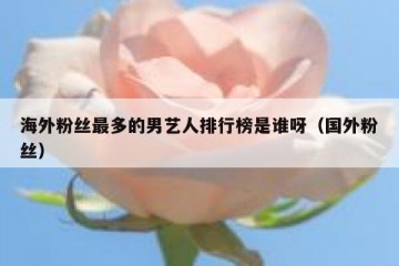 海外粉丝最多的男艺人排行榜是谁呀（国外粉丝）