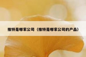 推特是哪家公司（推特是哪家公司的产品）
