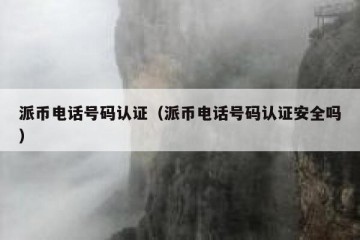 派币电话号码认证（派币电话号码认证安全吗）