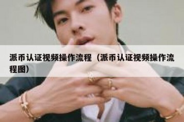 派币认证视频操作流程（派币认证视频操作流程图）