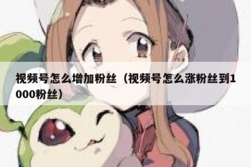 视频号怎么增加粉丝（视频号怎么涨粉丝到1000粉丝）
