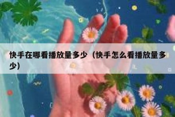 快手在哪看播放量多少（快手怎么看播放量多少）