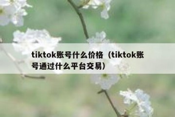 tiktok账号什么价格（tiktok账号通过什么平台交易）