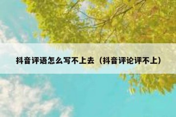 抖音评语怎么写不上去（抖音评论评不上）