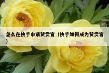 怎么在快手申请赞赏官（快手如何成为赞赏官）